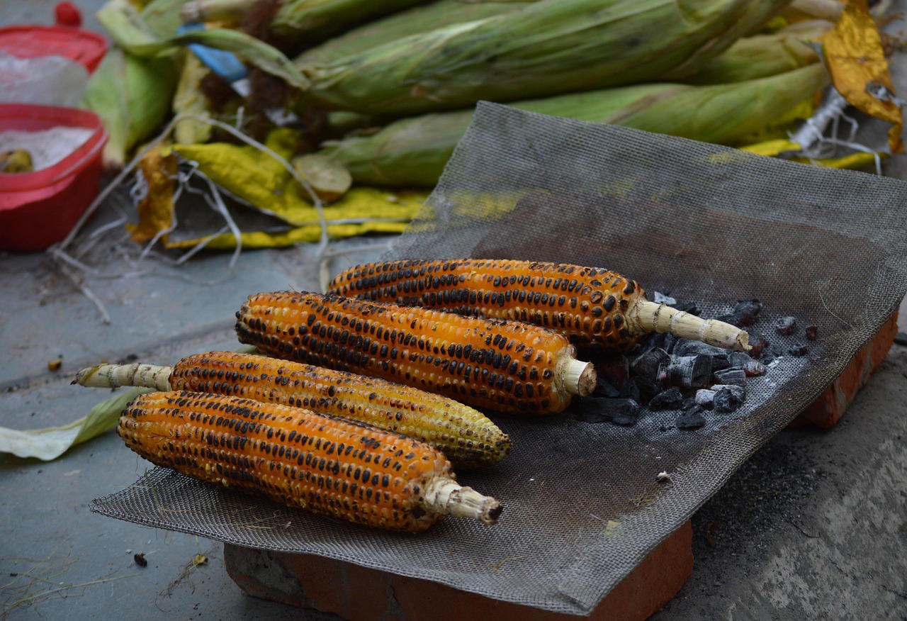 corn, grilled corn, street food, nature, corn on the cob, india, summer, golden, healthy, roast, charcoal roast